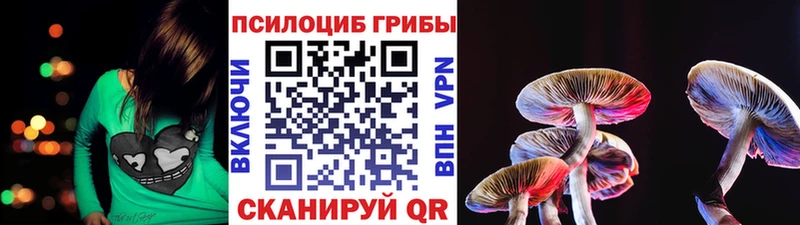 Галлюциногенные грибы MAGIC MUSHROOMS  Купить  Арск 